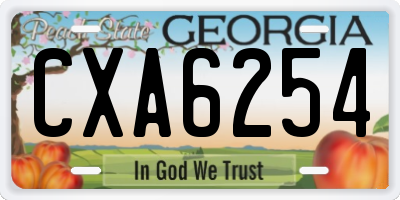 GA license plate CXA6254