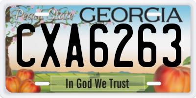 GA license plate CXA6263