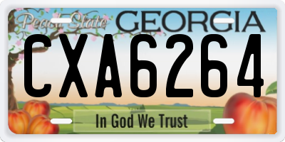 GA license plate CXA6264