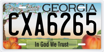 GA license plate CXA6265
