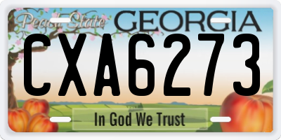 GA license plate CXA6273