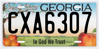 GA license plate CXA6307
