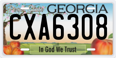 GA license plate CXA6308
