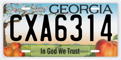 GA license plate CXA6314
