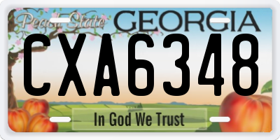 GA license plate CXA6348