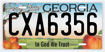 GA license plate CXA6356