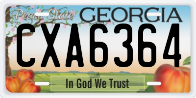 GA license plate CXA6364