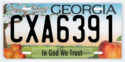GA license plate CXA6391