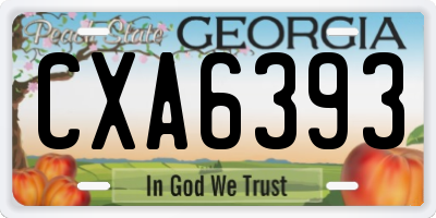 GA license plate CXA6393