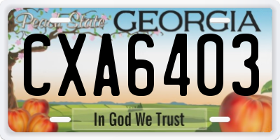 GA license plate CXA6403