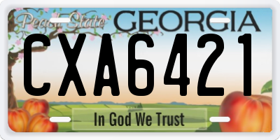 GA license plate CXA6421