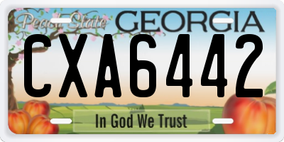 GA license plate CXA6442