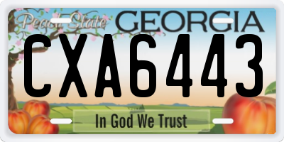 GA license plate CXA6443