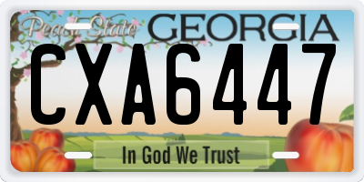 GA license plate CXA6447