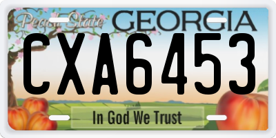 GA license plate CXA6453
