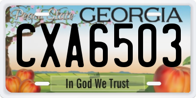 GA license plate CXA6503