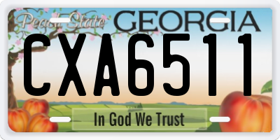 GA license plate CXA6511
