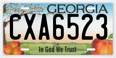 GA license plate CXA6523