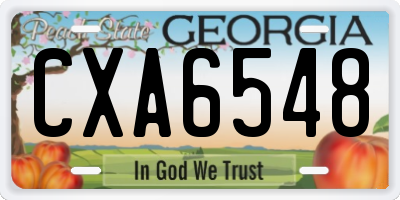 GA license plate CXA6548