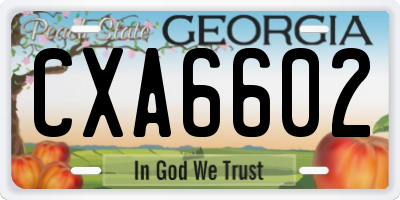 GA license plate CXA6602