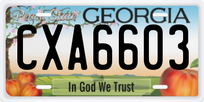 GA license plate CXA6603