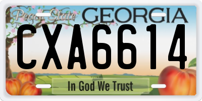 GA license plate CXA6614