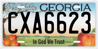 GA license plate CXA6623