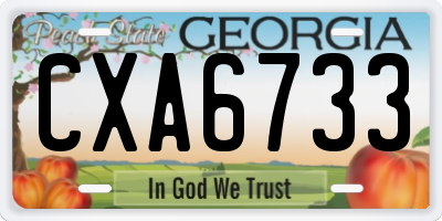 GA license plate CXA6733