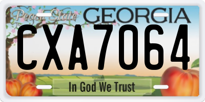 GA license plate CXA7064
