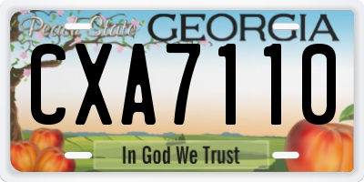 GA license plate CXA7110