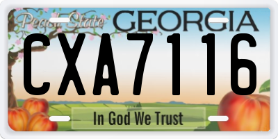 GA license plate CXA7116