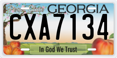 GA license plate CXA7134