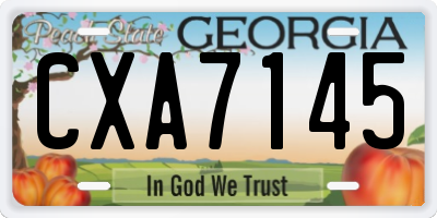GA license plate CXA7145