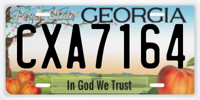 GA license plate CXA7164