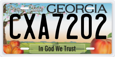 GA license plate CXA7202
