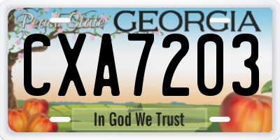 GA license plate CXA7203