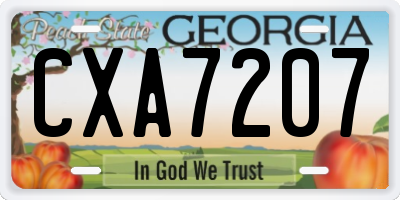 GA license plate CXA7207