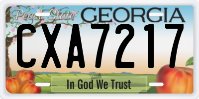 GA license plate CXA7217