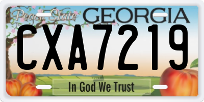GA license plate CXA7219