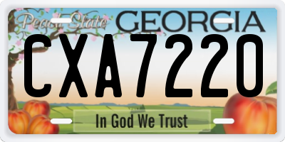 GA license plate CXA7220