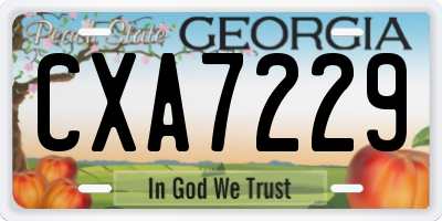 GA license plate CXA7229