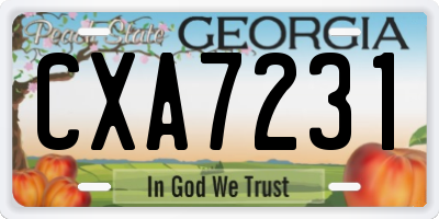 GA license plate CXA7231