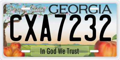 GA license plate CXA7232
