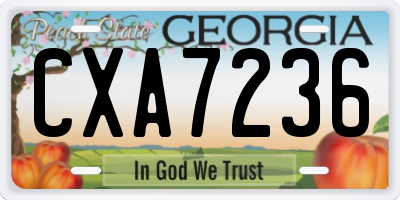 GA license plate CXA7236