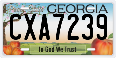 GA license plate CXA7239