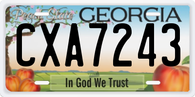 GA license plate CXA7243