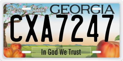 GA license plate CXA7247