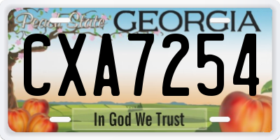 GA license plate CXA7254