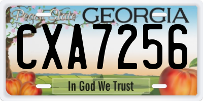 GA license plate CXA7256