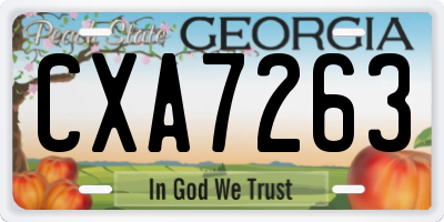 GA license plate CXA7263